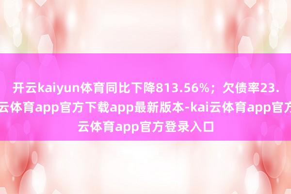 开云kaiyun体育同比下降813.56%；欠债率23.99%-kai云体育app官方下载app最新版本-kai云体育app官方登录入口